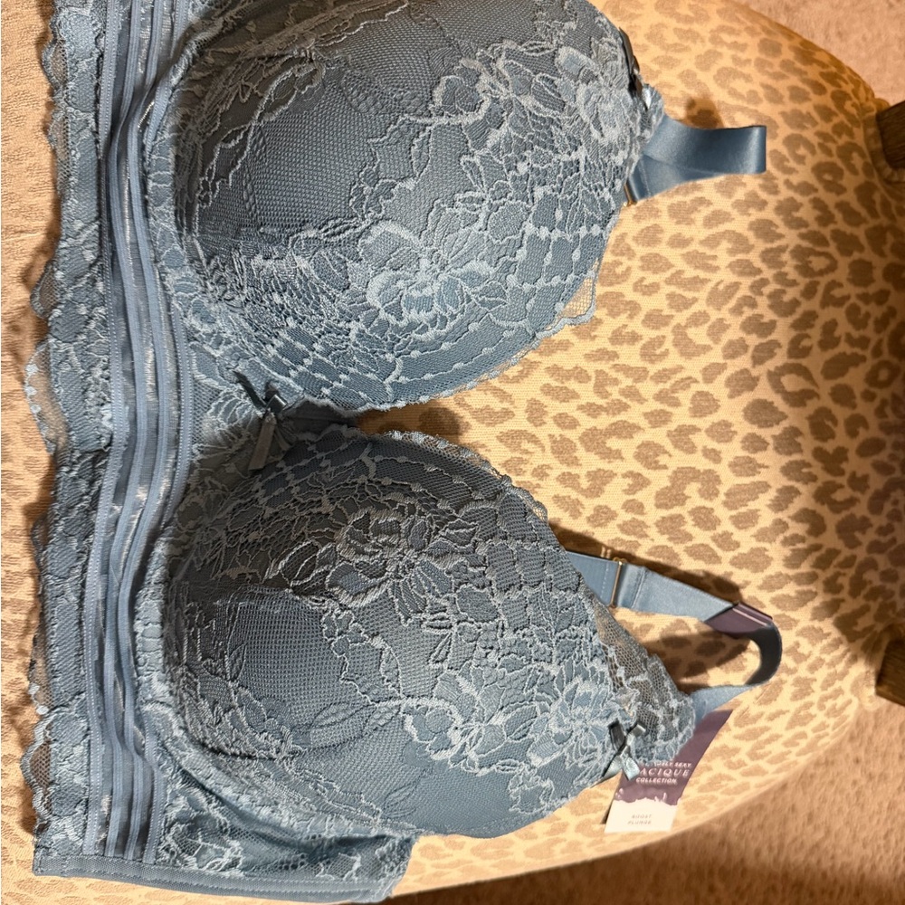 Cacique Blue Lace Push-Up Bra